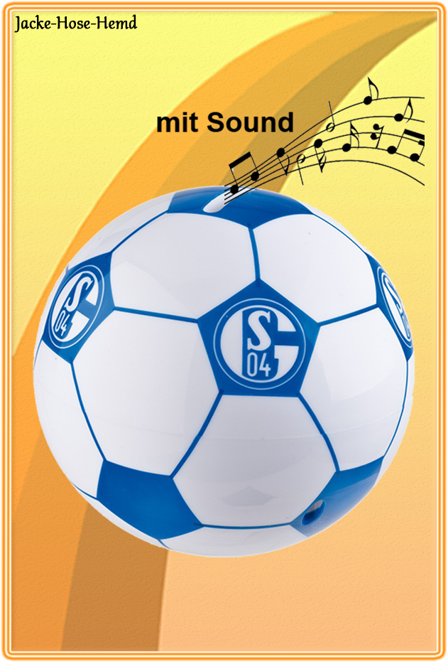 Spardose FC Schalke 04