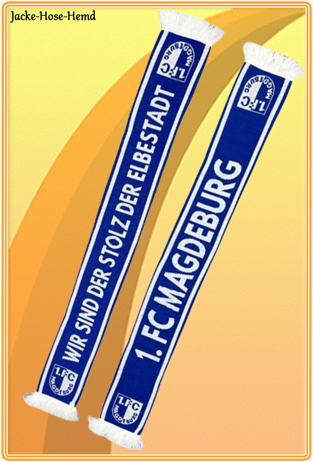 1.FC Magdeburg Schal