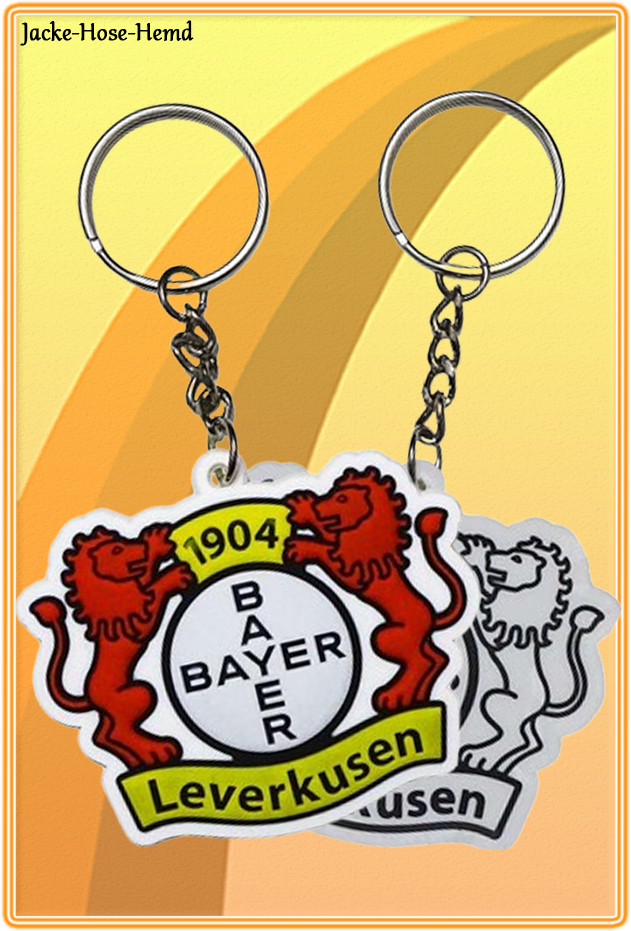 Bayer 04 Leverkusen Schal Löwe