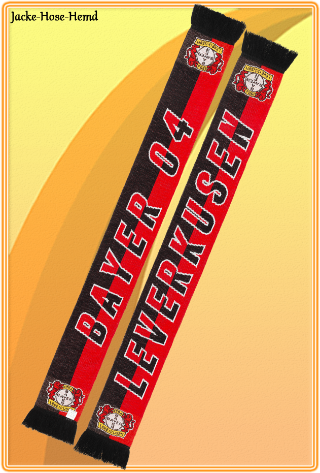 Bayer 04 Leverkusen Anhänger
