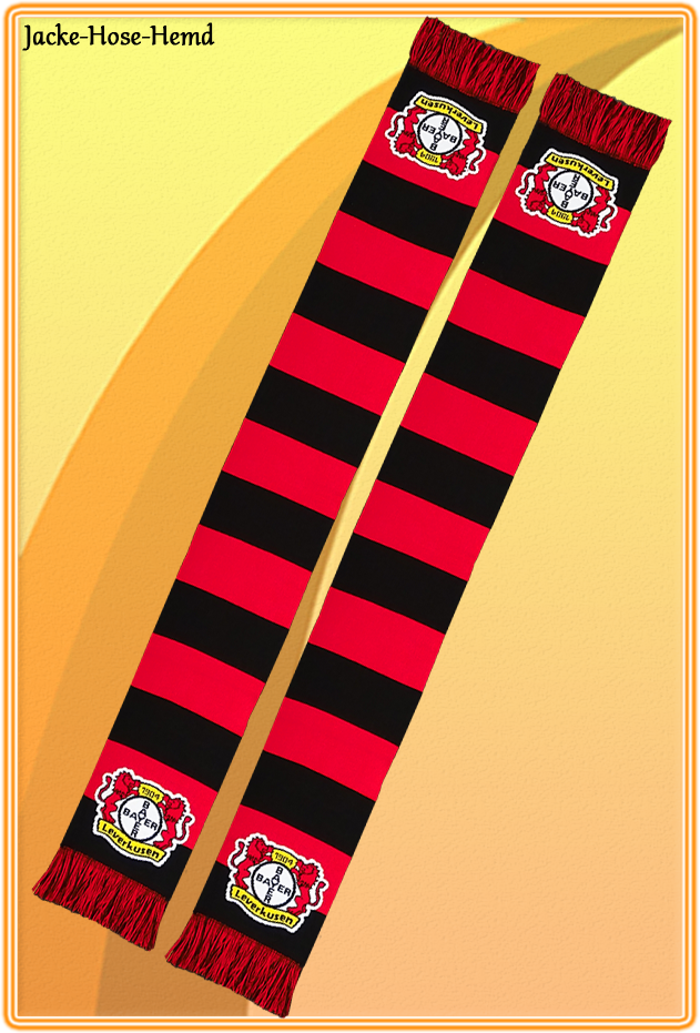 Bayer 04 Leverkusen Fan-Schal