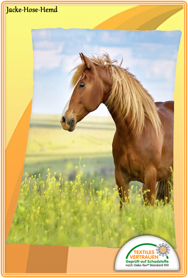 Pferd Wiese Decke