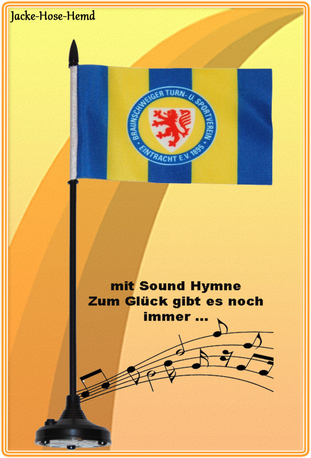 Eintr. Braunschweig Soundfahne 
